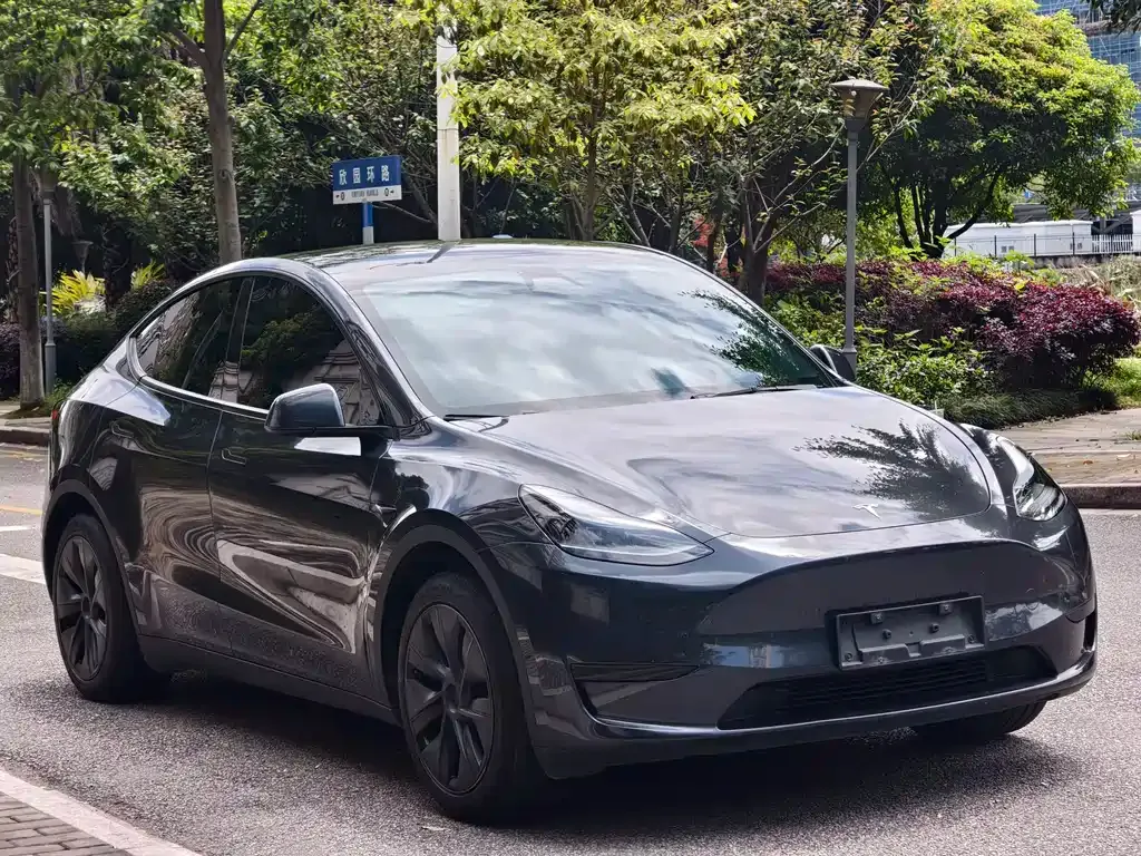 Tesla Model Y — фото 6