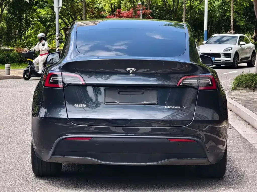 Tesla Model Y — фото 9