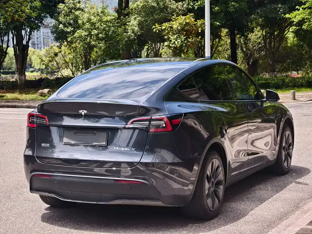 Tesla Model Y — фото 10