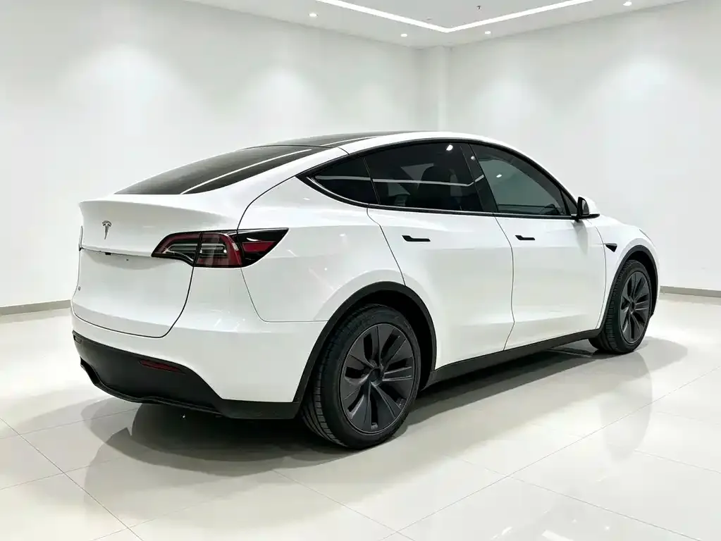 Tesla Model Y — фото 5