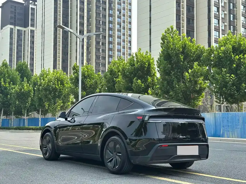 Tesla Model Y — фото 10