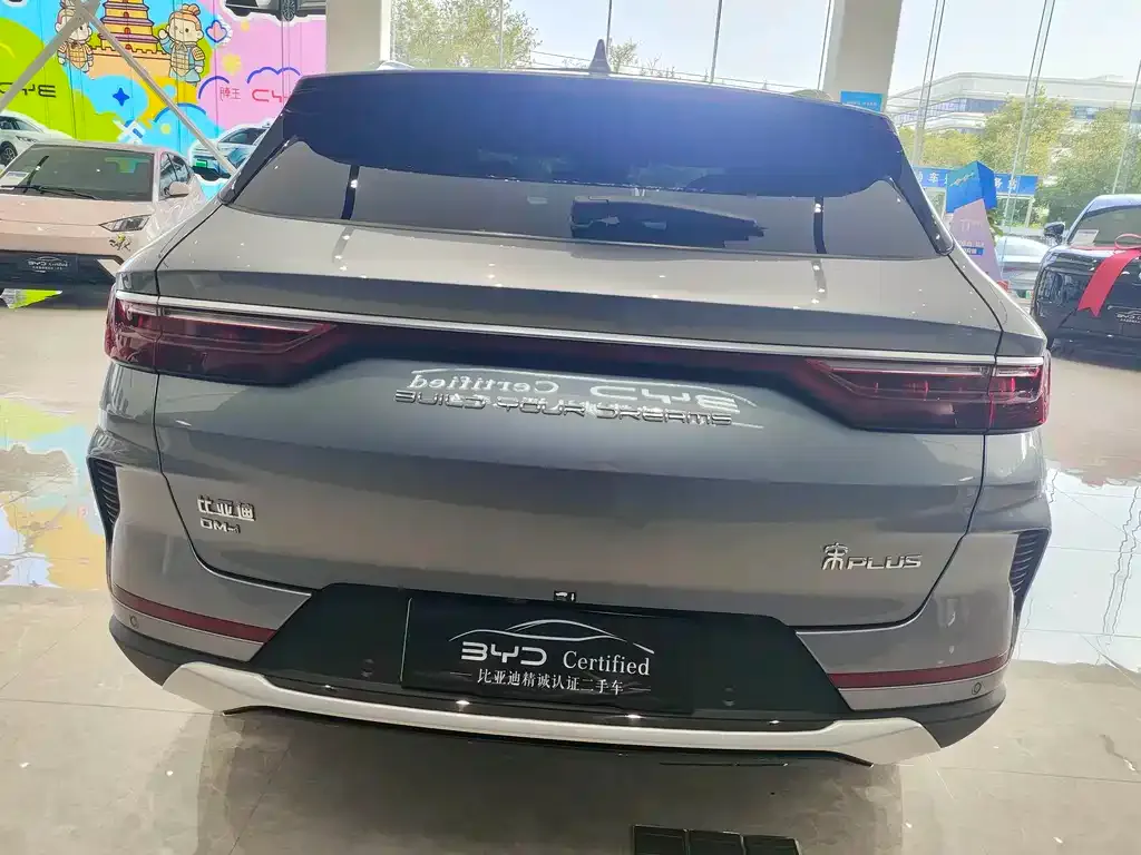BYD PLUS New Energy — фото 9