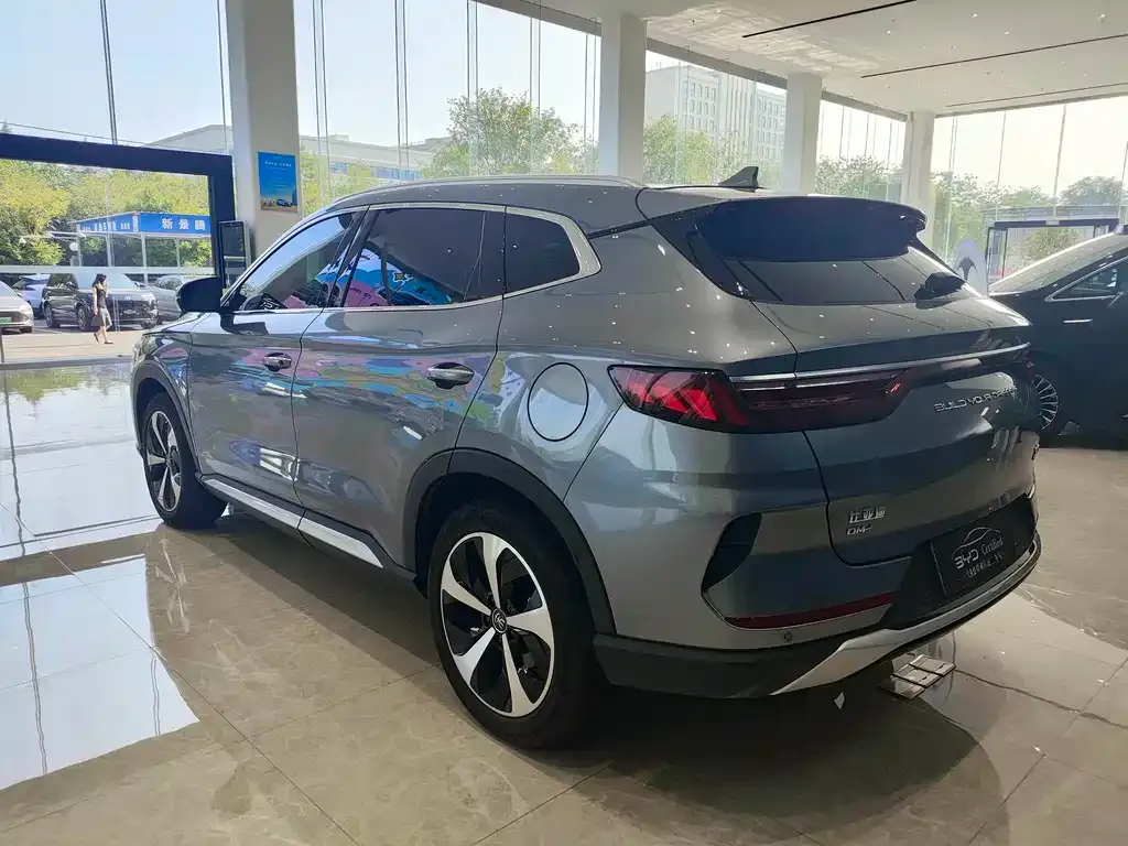 BYD PLUS New Energy — фото 8