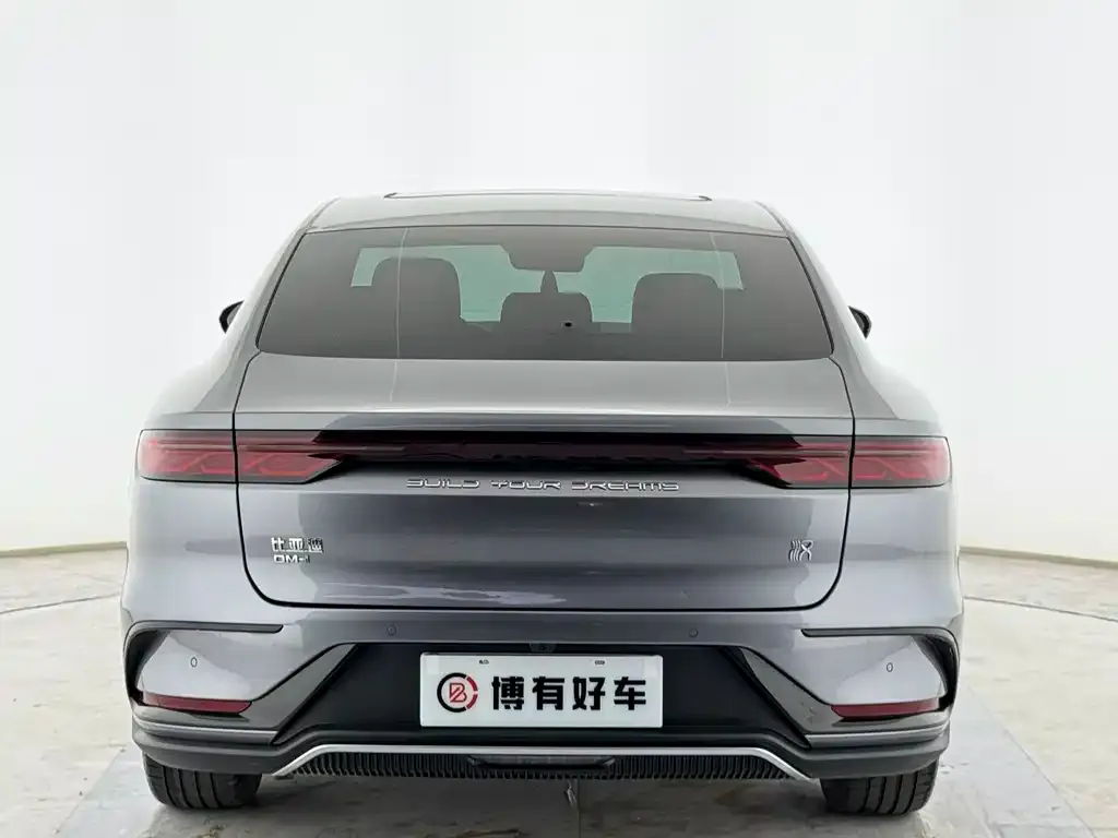 BYD Han 2024 из CN, фото 2