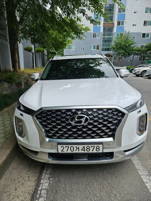 Hyundai Palisade — фото 1