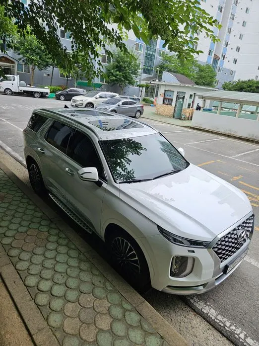 Hyundai Palisade — фото 4