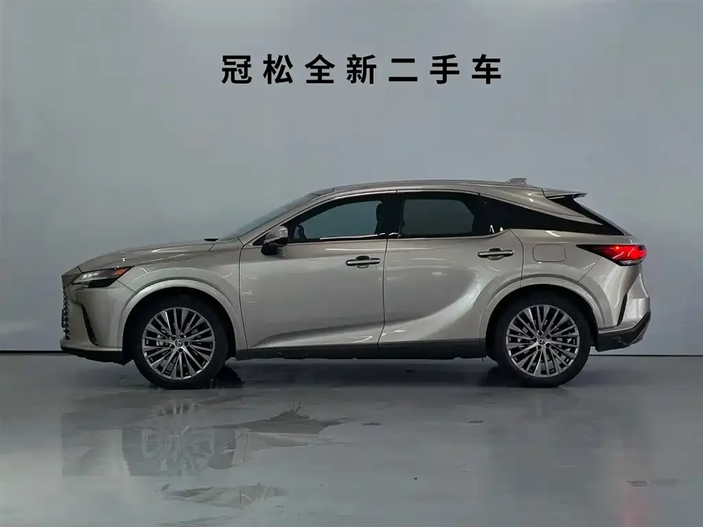 Lexus RX — фото 10