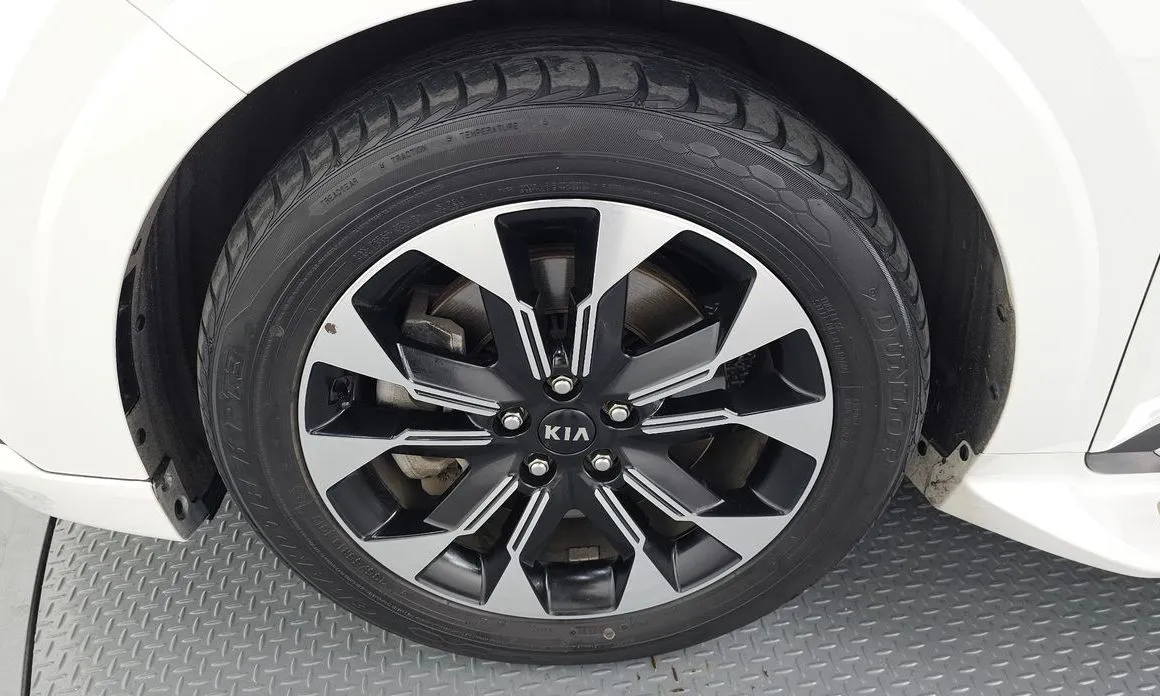 Kia Carnival — фото 10