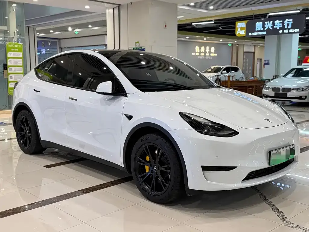 Tesla Model Y — фото 9