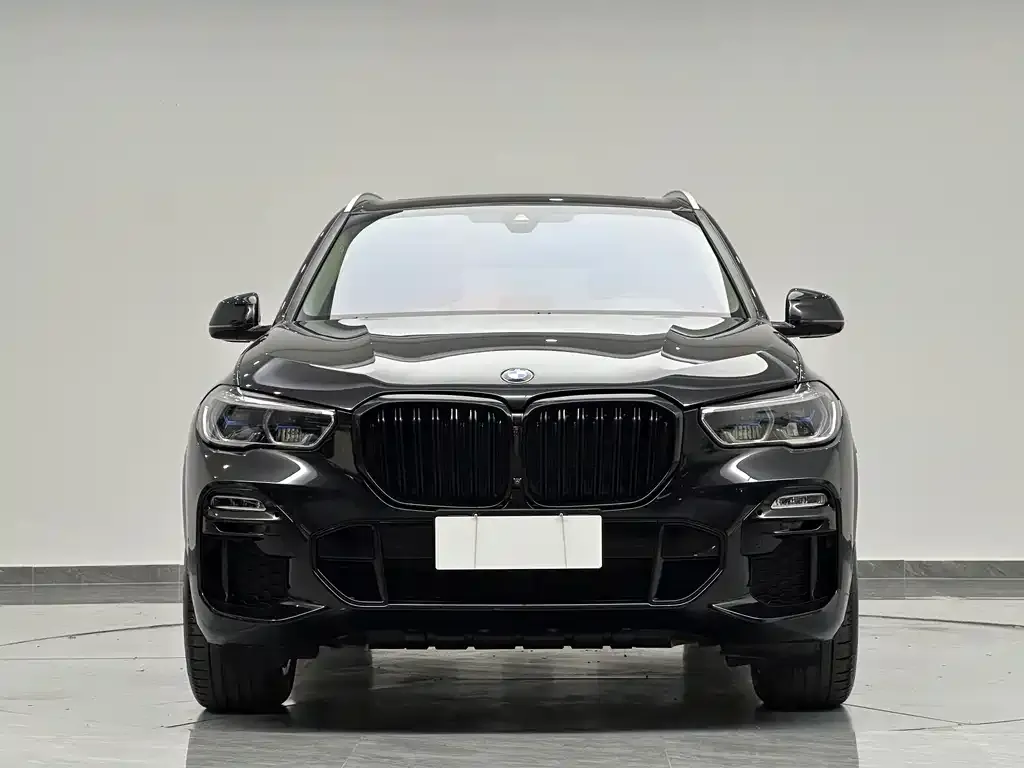 BMW X5 (Import) — фото 3