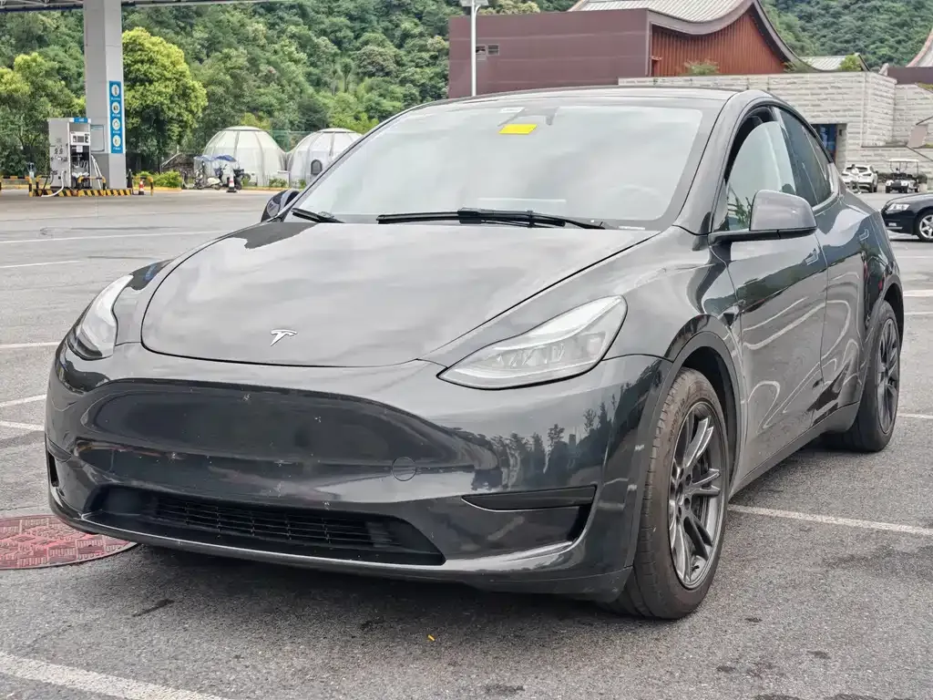 Tesla Model Y — фото 1