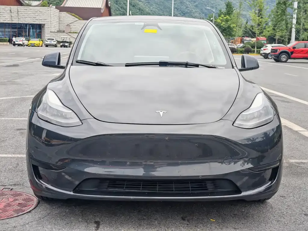 Tesla Model Y — фото 5