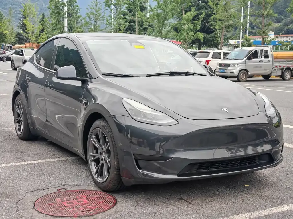 Tesla Model Y — фото 7