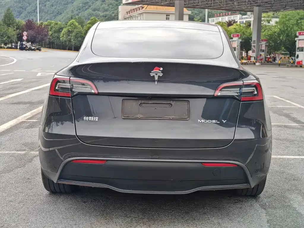 Tesla Model Y — фото 4