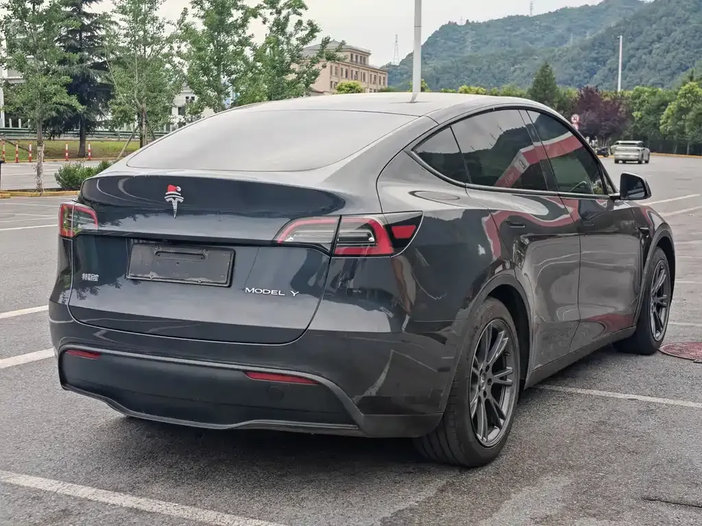 Tesla Model Y — фото 8