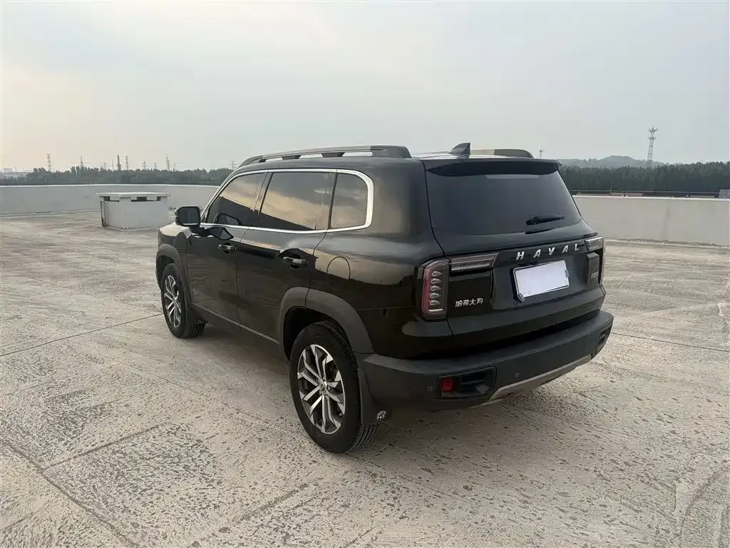 Haval Big Dog — фото 7