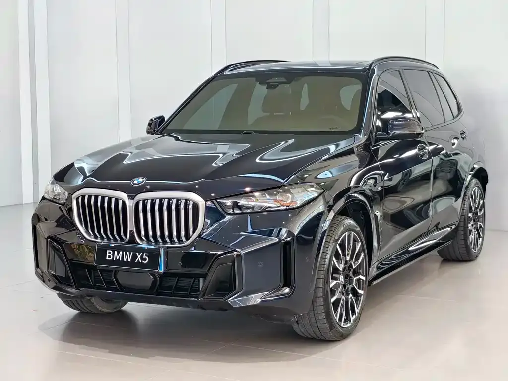 BMW X5 — фото 1