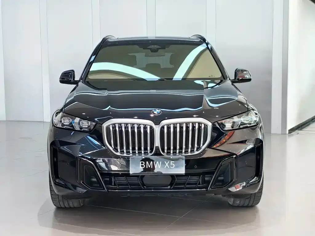 BMW X5 — фото 9