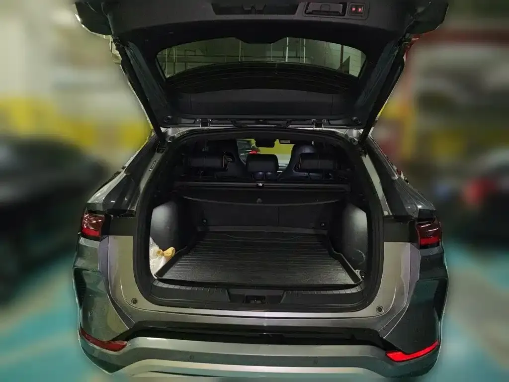 BYD PLUS New Energy 2024 из CN, фото 2