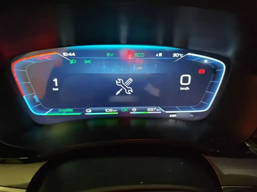 BYD PLUS New Energy 2024 из CN, фото 6