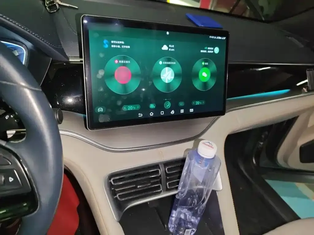 BYD PLUS New Energy 2024 из CN, фото 7