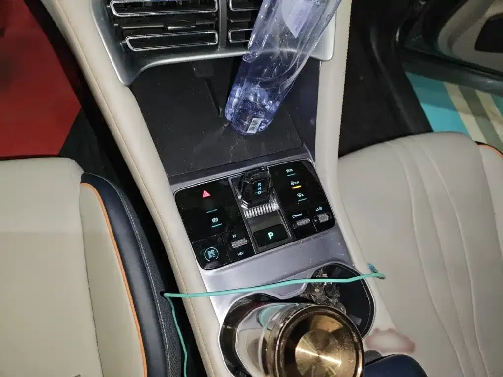 BYD PLUS New Energy 2024 из CN, фото 3