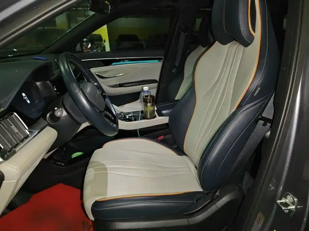 BYD PLUS New Energy 2024 из CN, фото 9