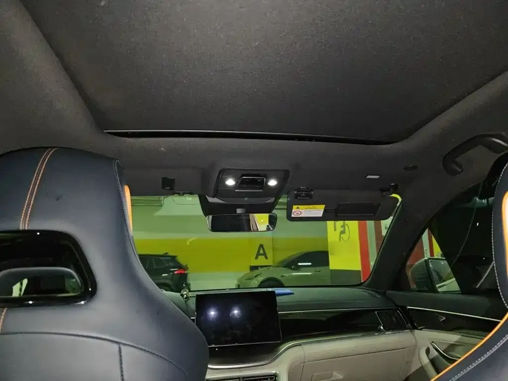 BYD PLUS New Energy 2024 из CN, фото 4