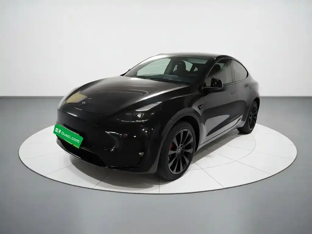 Tesla Model Y — фото 2