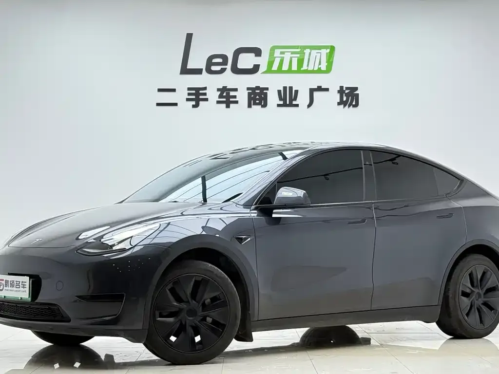 Tesla Model Y — фото 1