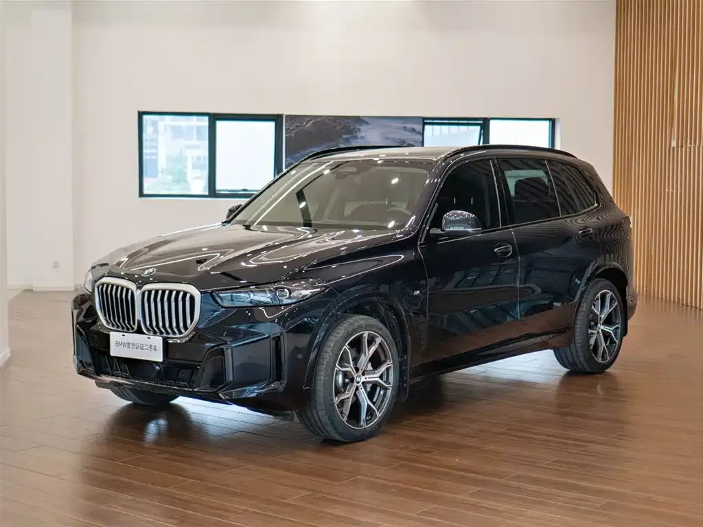 BMW X5 — фото 10