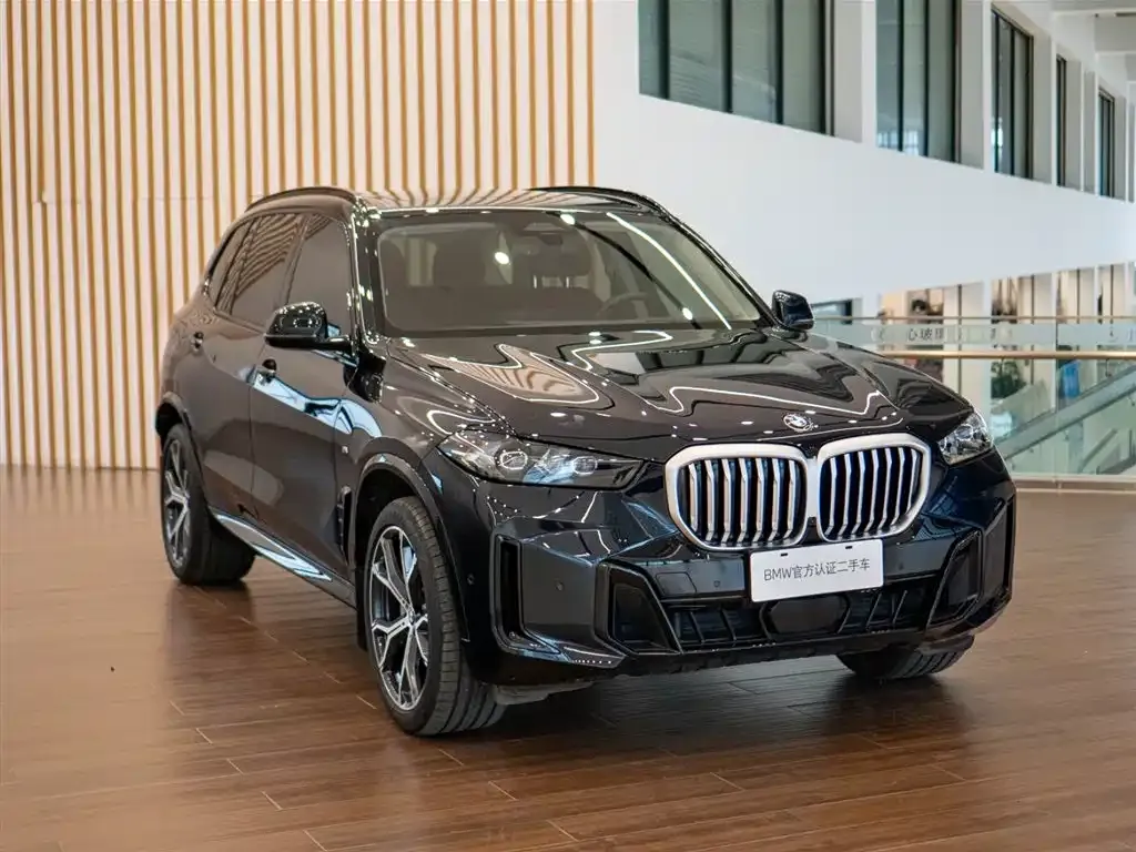 BMW X5 — фото 6