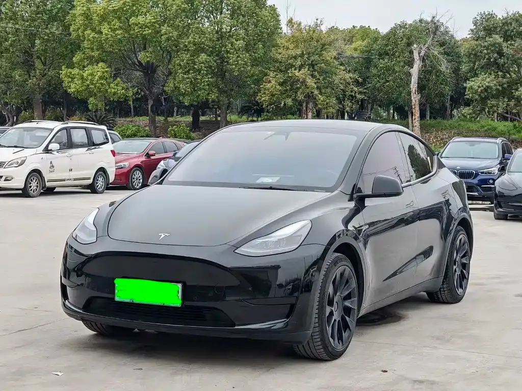 Tesla Model Y — фото 1
