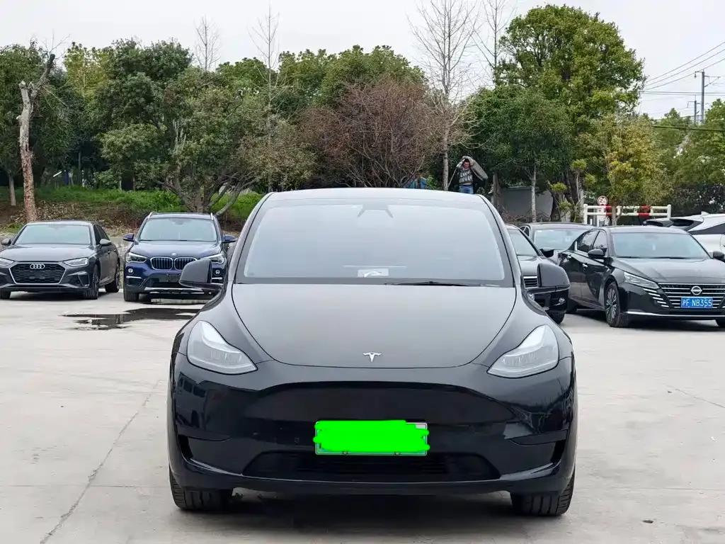 Tesla Model Y — фото 5