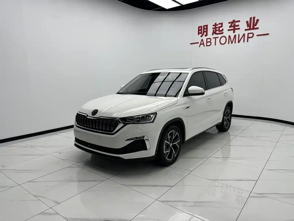 Skoda Kamiq — фото 10