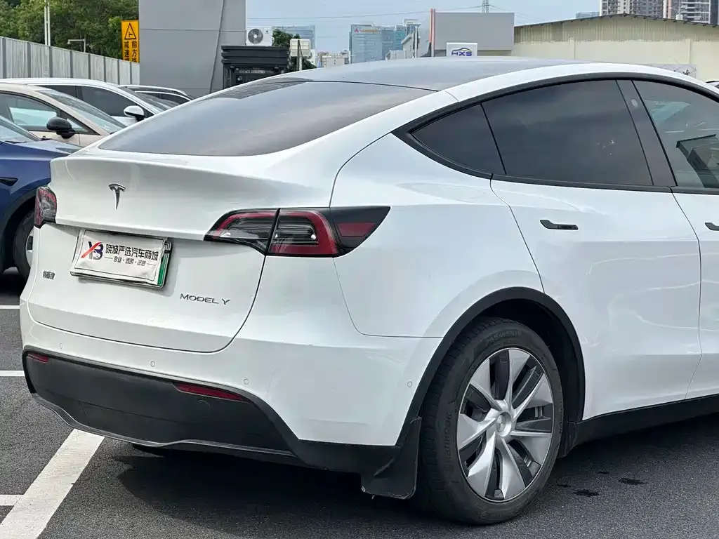 Tesla Model Y — фото 3