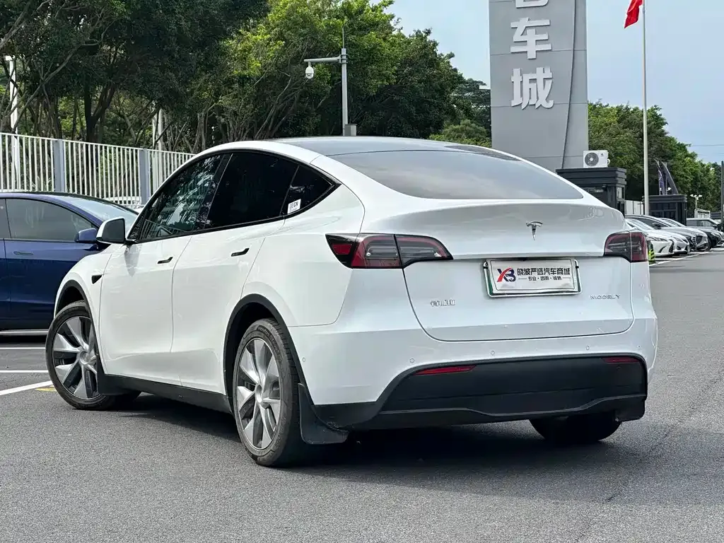 Tesla Model Y — фото 9
