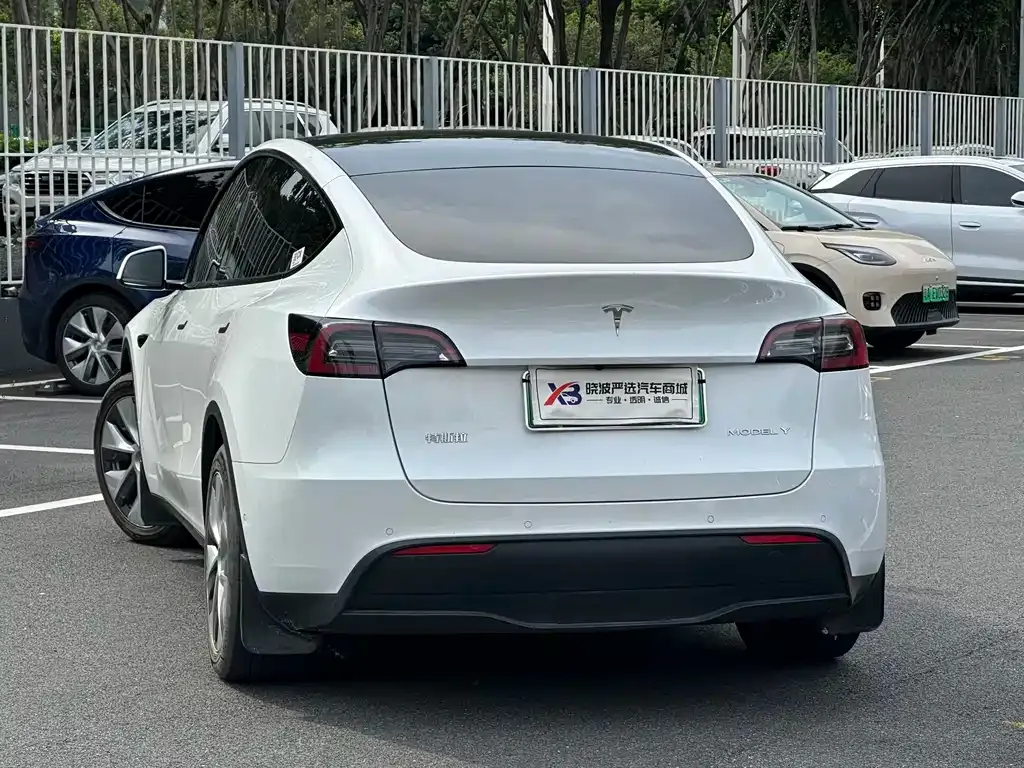 Tesla Model Y — фото 10