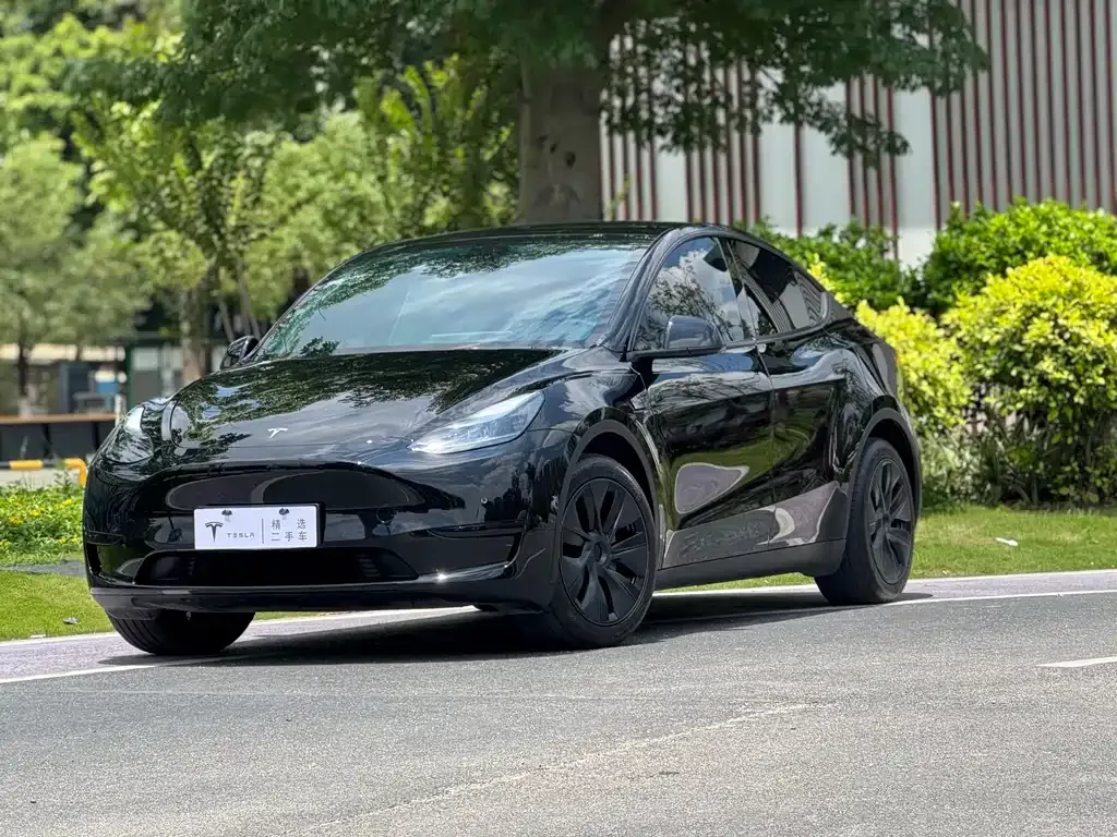 Tesla Model Y — фото 1