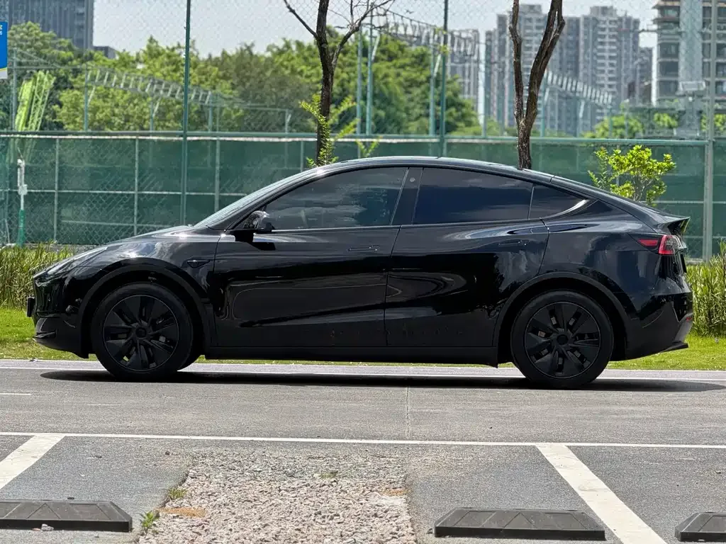 Tesla Model Y — фото 2