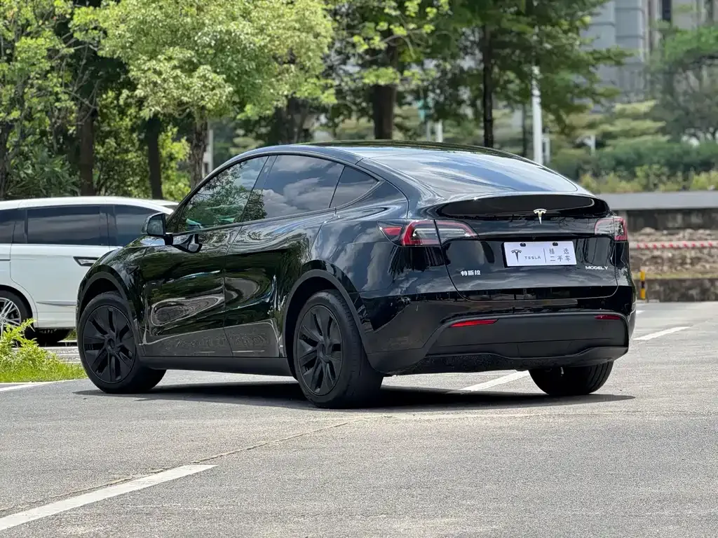 Tesla Model Y — фото 10