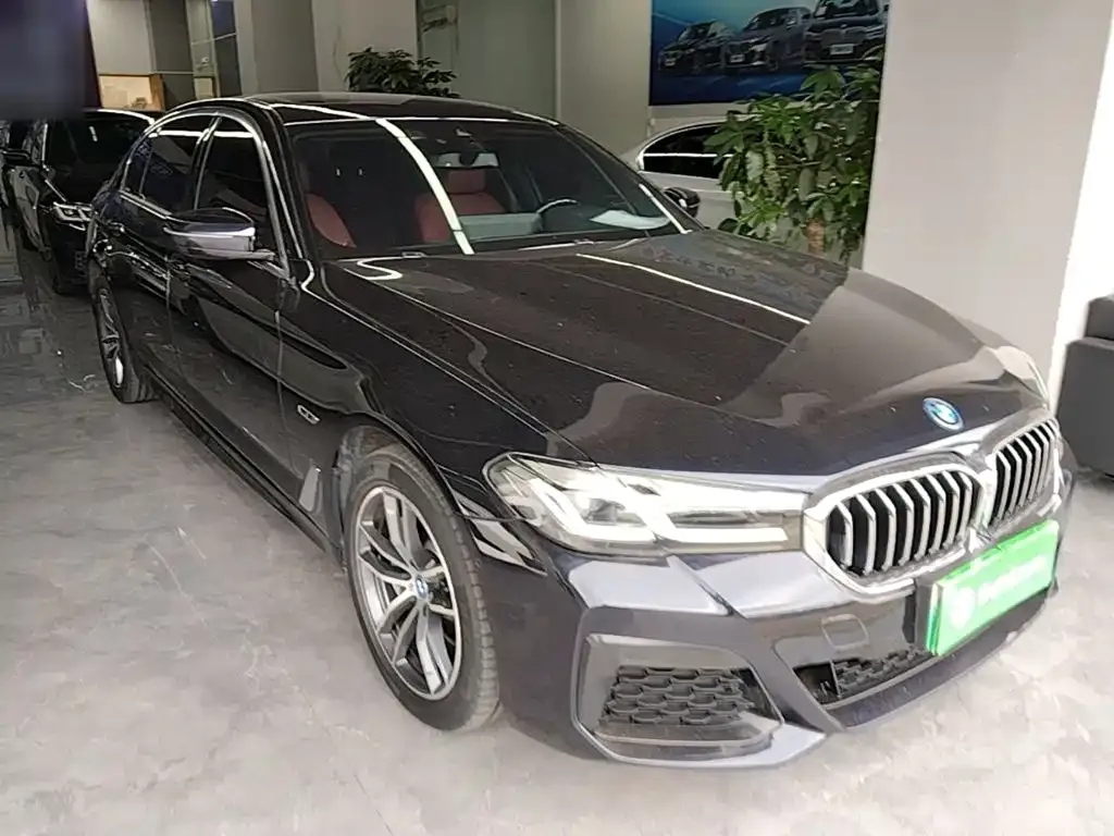 BMW 5 Series New Energy — фото 4