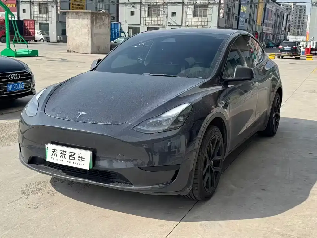 Tesla Model Y — фото 1