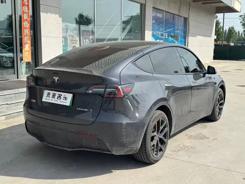 Tesla Model Y — фото 10