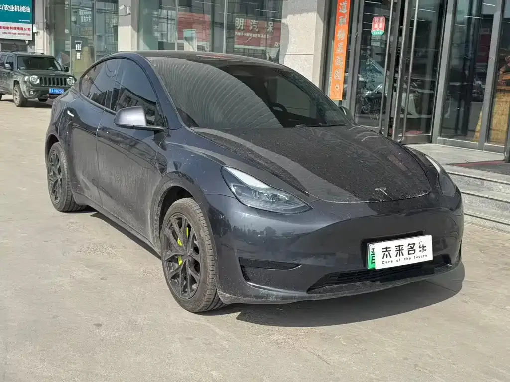 Tesla Model Y — фото 3