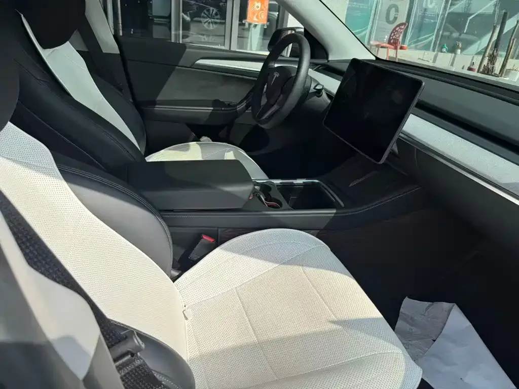Tesla Model Y — фото 5