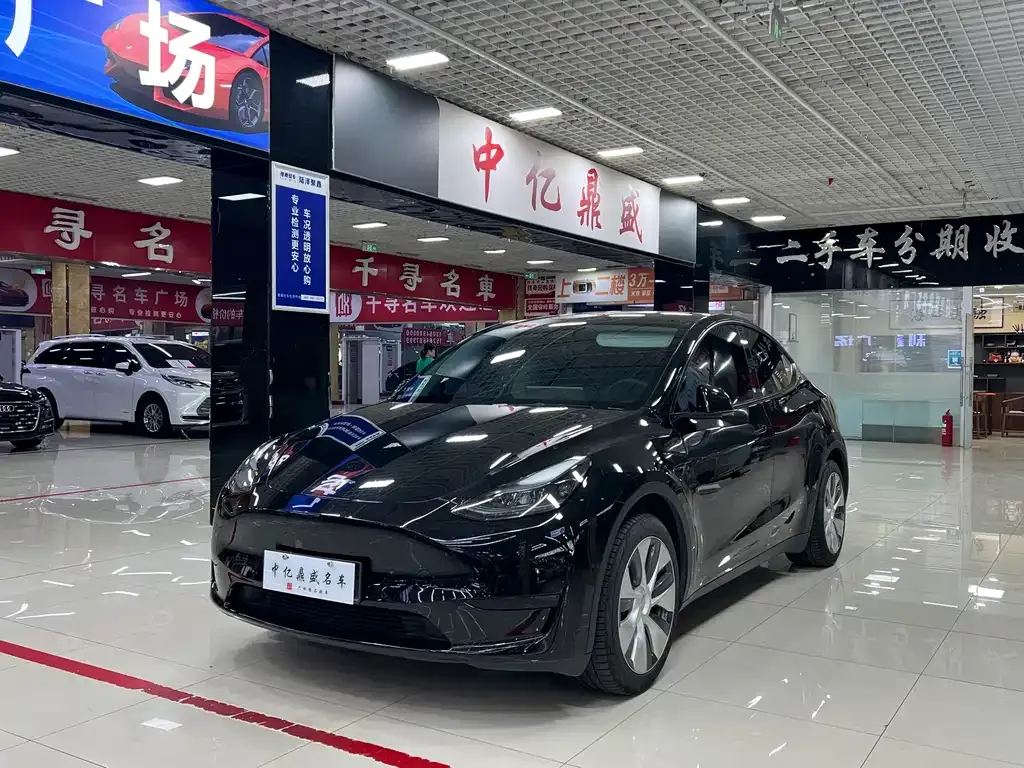 Tesla Model Y — фото 1