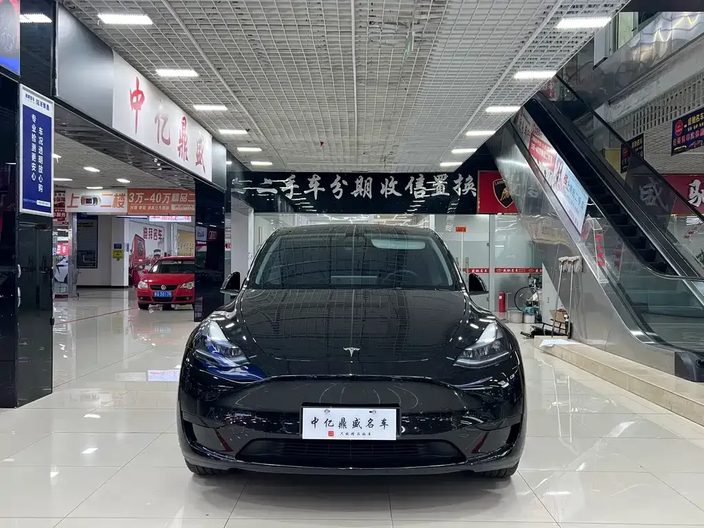 Tesla Model Y — фото 6