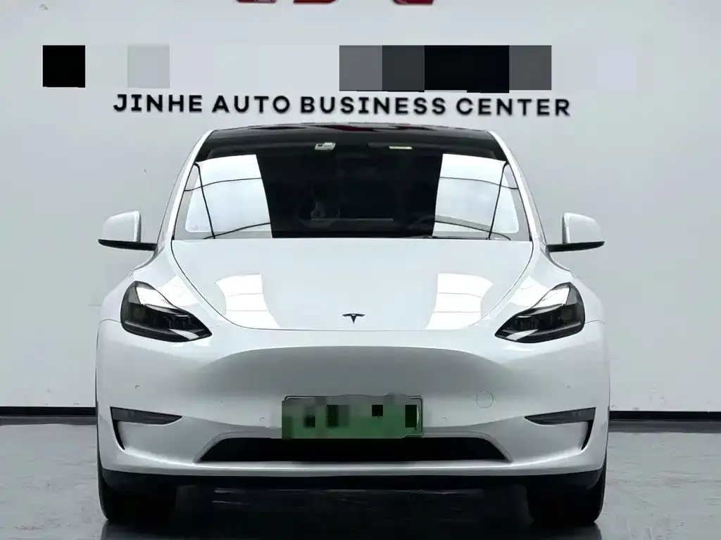 Tesla Model Y — фото 10