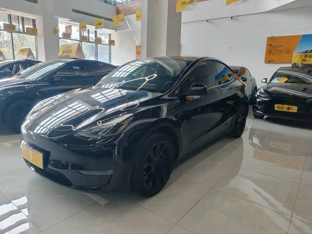Tesla Model Y — фото 1